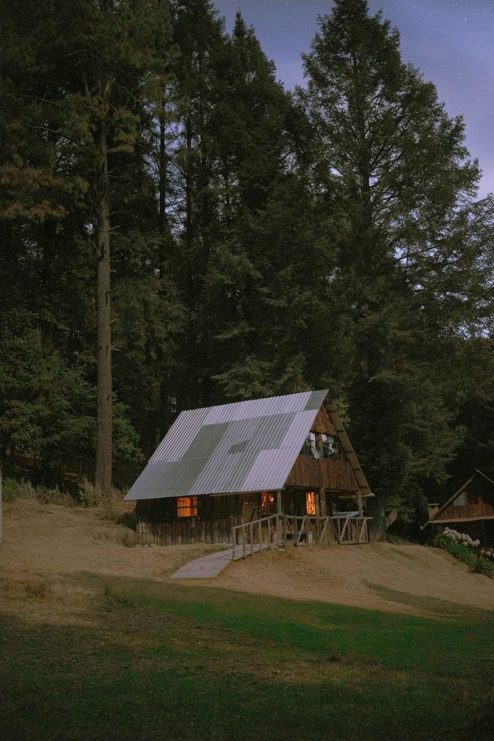 Forest Retreat