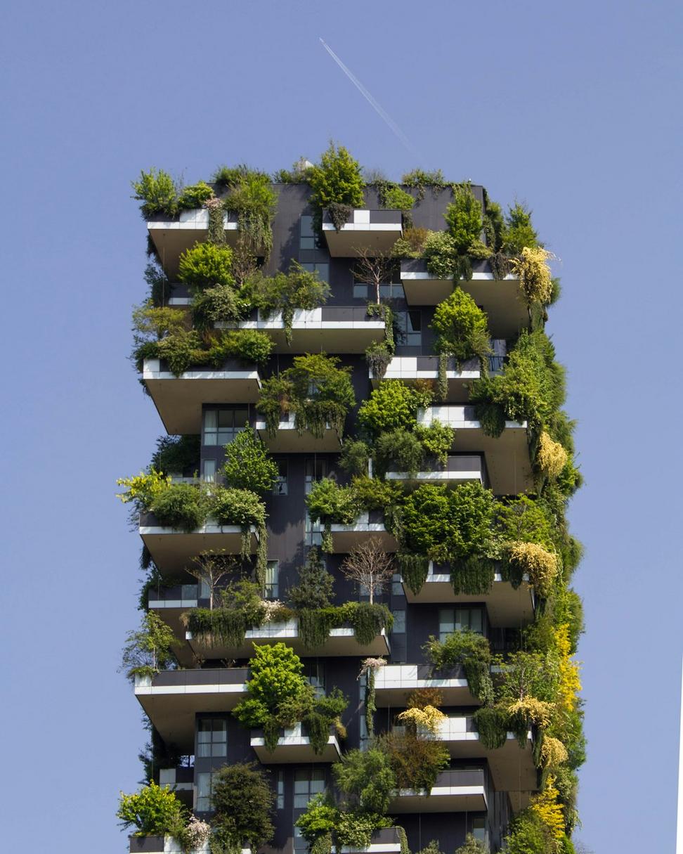 Environmental assessment